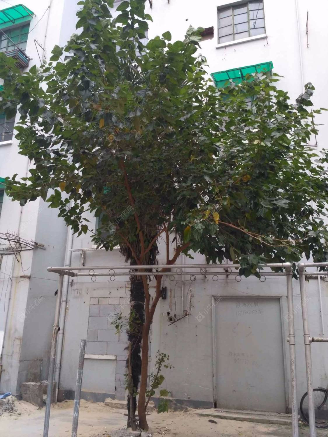 上海东凌小区小区_东凌小区小区null