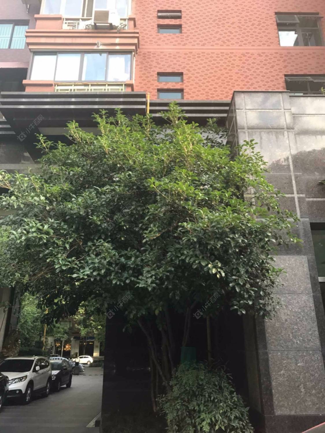 上海丽致公寓小区_丽致公寓小区null