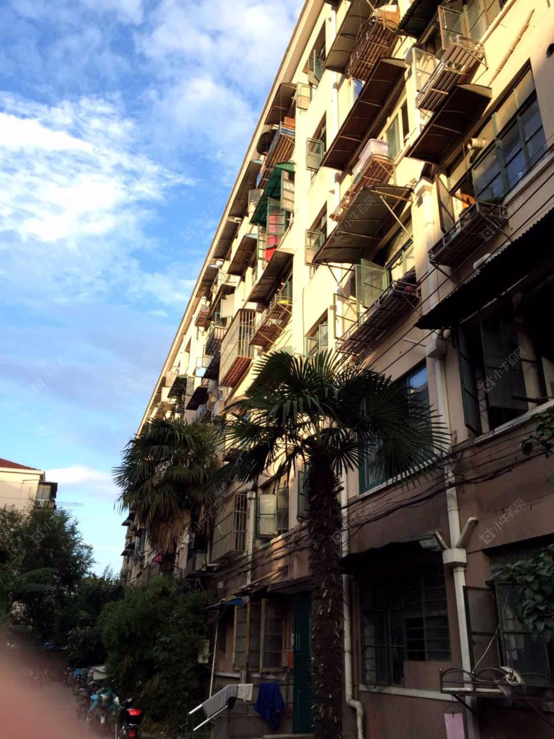 上海信仪新村小区_信仪新村小区实景图