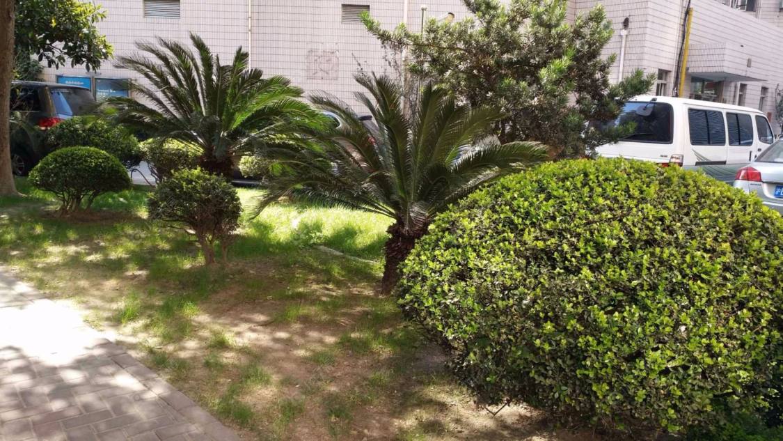 上海广汇花苑小区_广汇花苑小区null