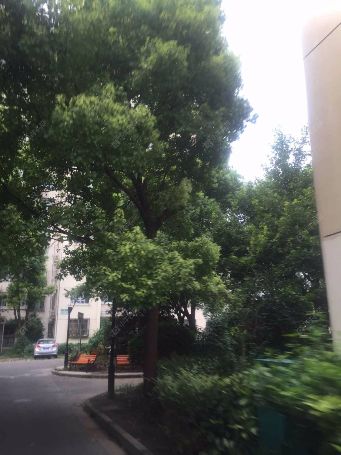 上海海尚逸苑西区小区_海尚逸苑西区小区null