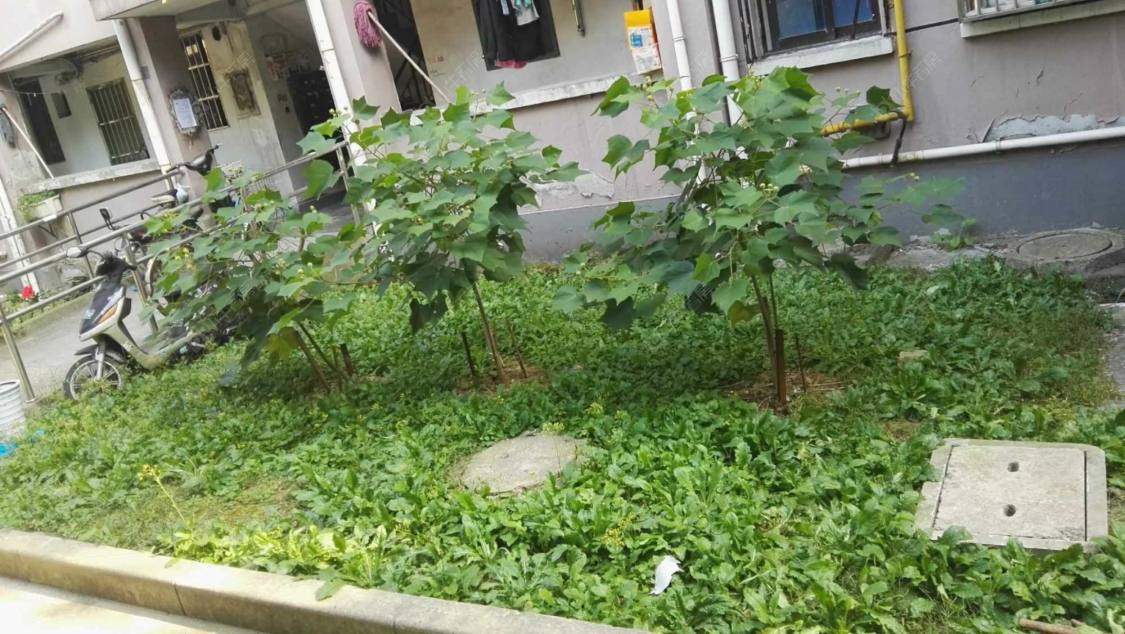 上海航华一村二街坊小区_航华一村二街坊小区null