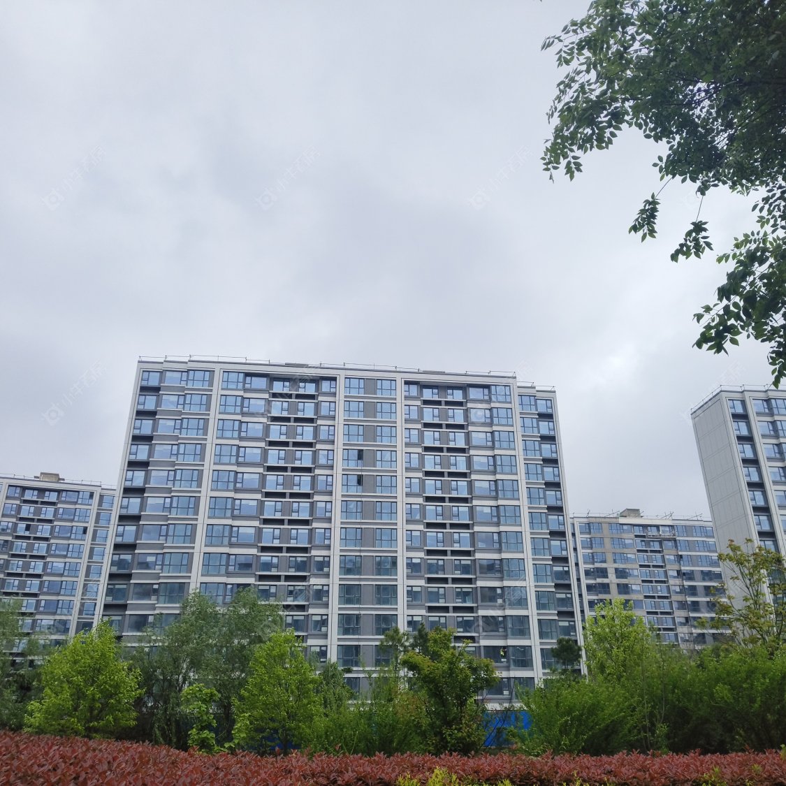 上海国贸鹭原小区_国贸鹭原小区null