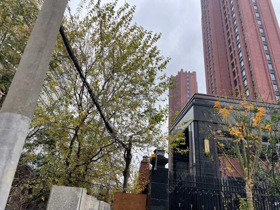 上海洋江·唐顿公馆小区_洋江·唐顿公馆小区null