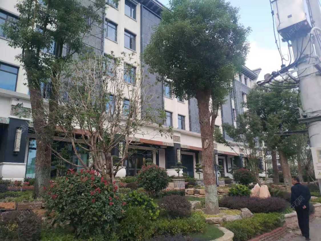 上海泗泾绿中海小区_泗泾绿中海小区null