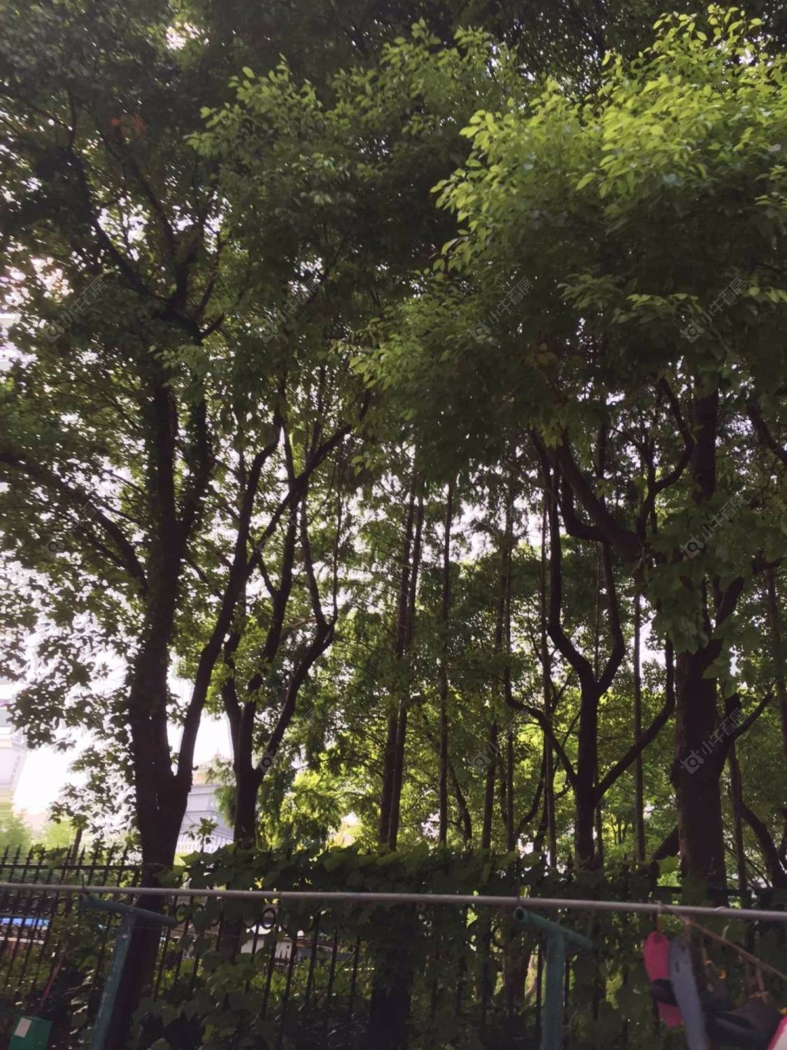 上海天好花苑小区_天好花苑小区实景图