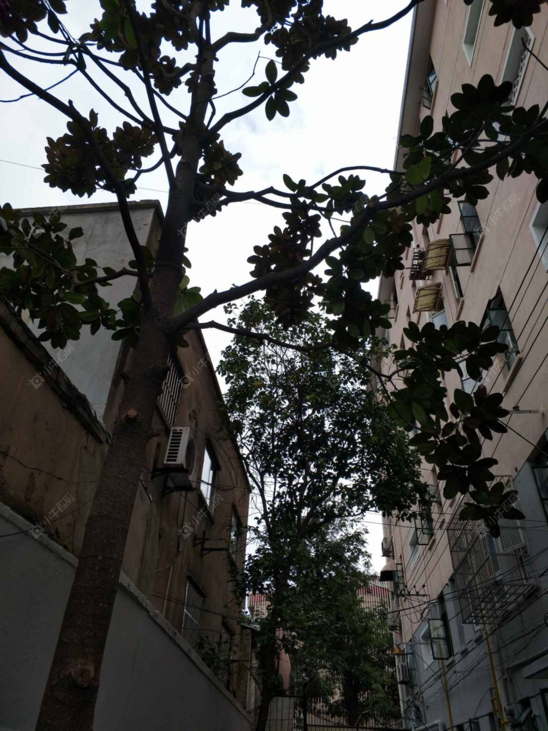 上海虹教二村小区_虹教二村小区null