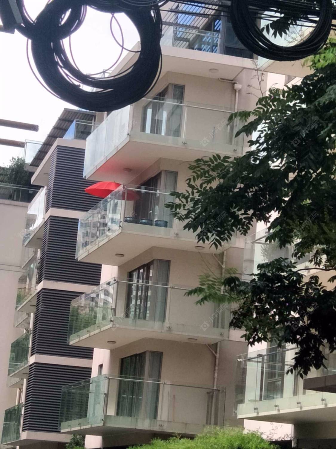 上海南阳世纪苑小区_南阳世纪苑小区null