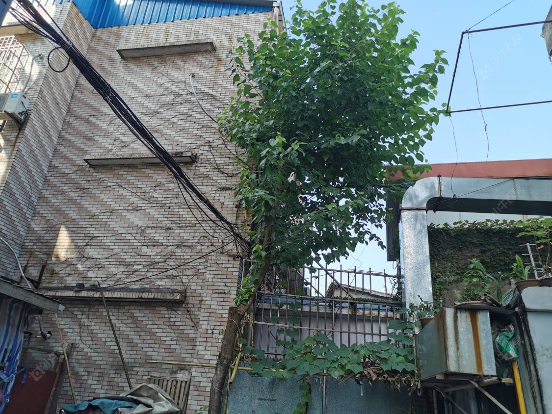 上海交通路（静安）小区_小牛看房