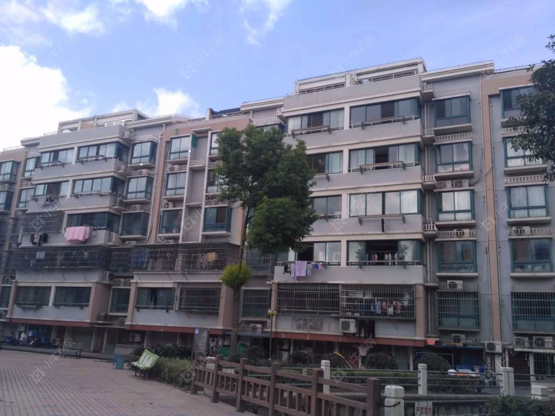 树园新苑封面图_小牛看房