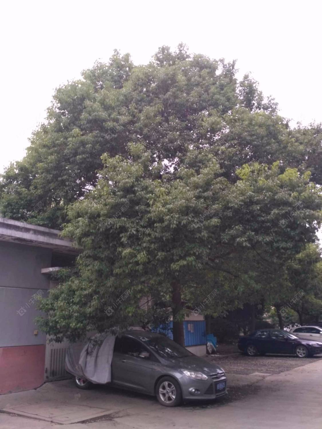 上海新桥商苑小区_新桥商苑小区null