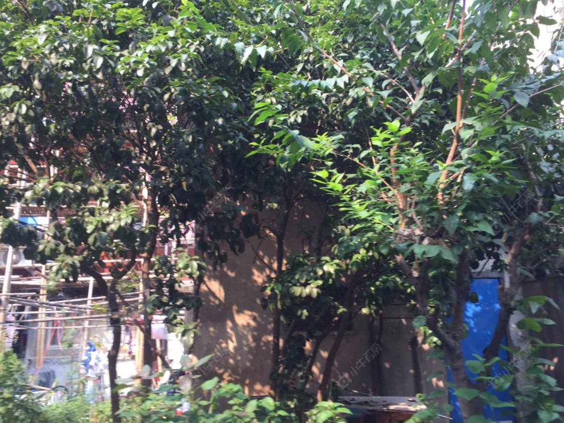 上海青云路461弄小区_小牛看房