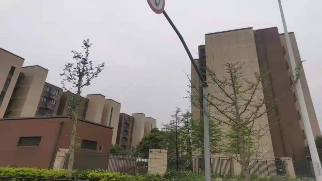 上海金上海生活广场小区_金上海生活广场小区null