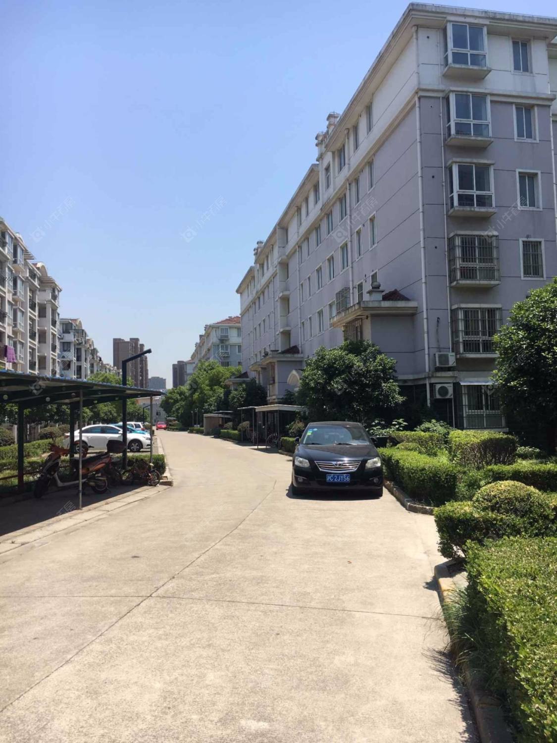 上海宝菊新家园小区_宝菊新家园小区null