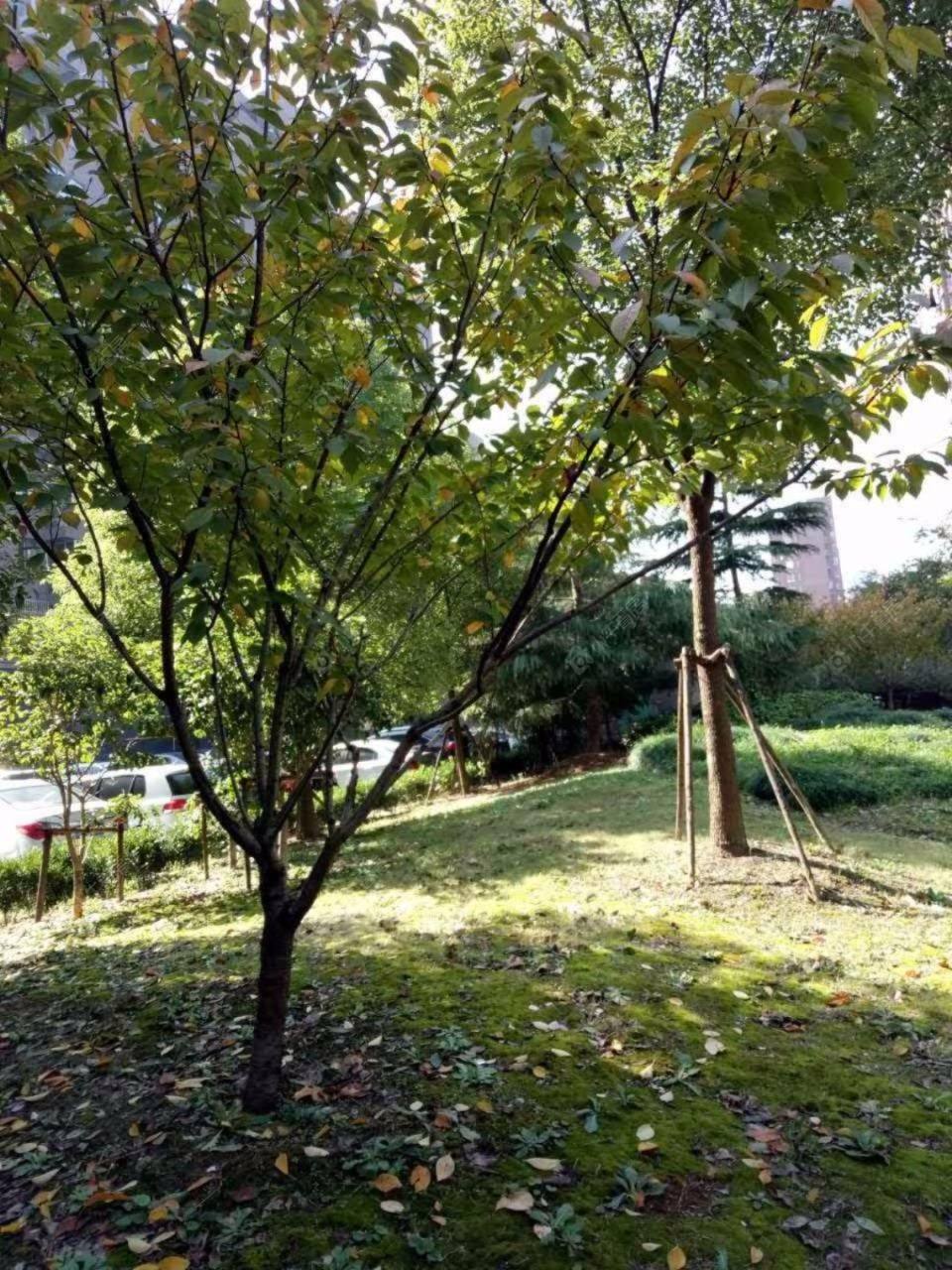 馨佳园六街坊封面图_小牛看房