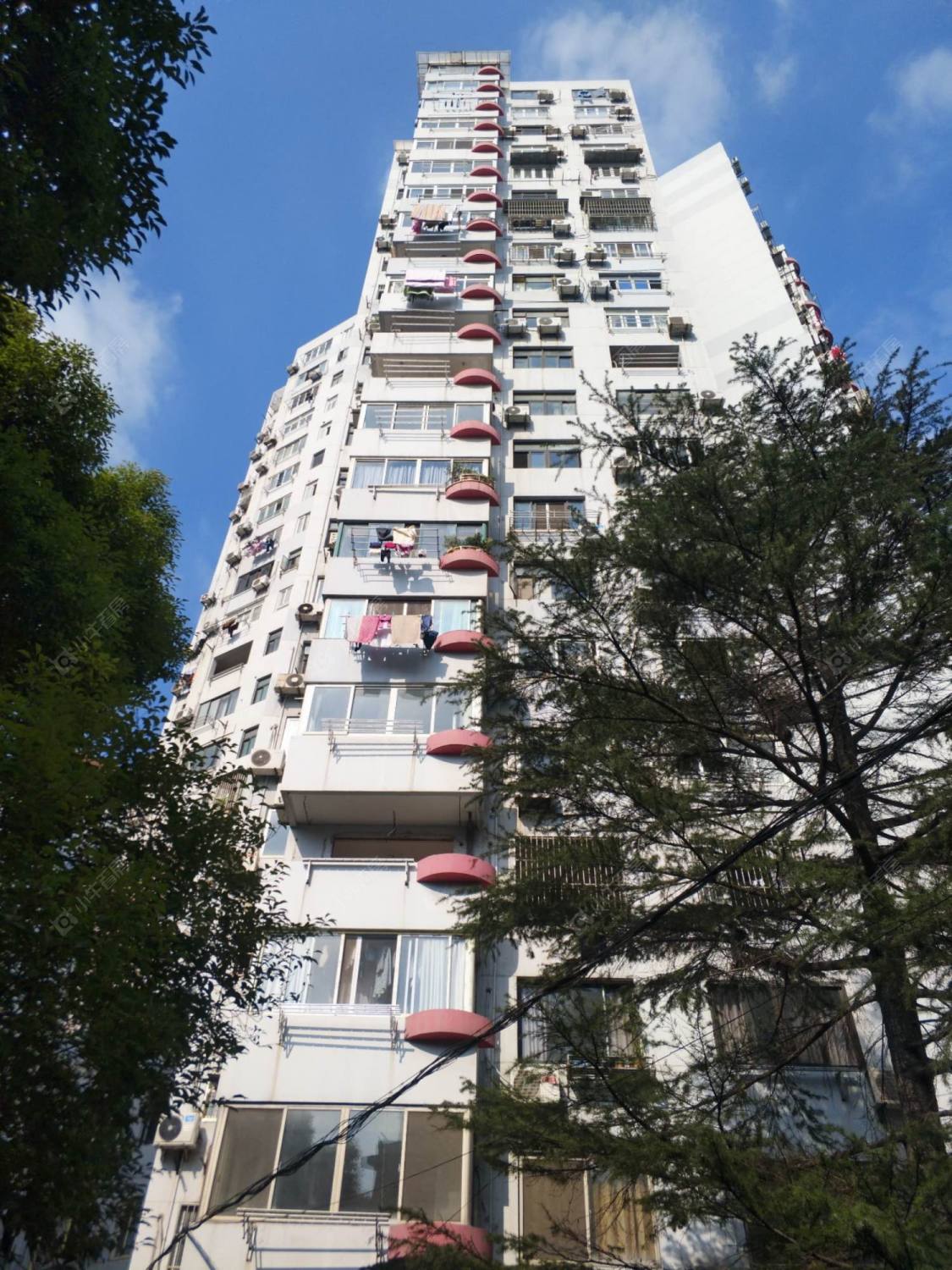 上海松柏小区小区_松柏小区小区null