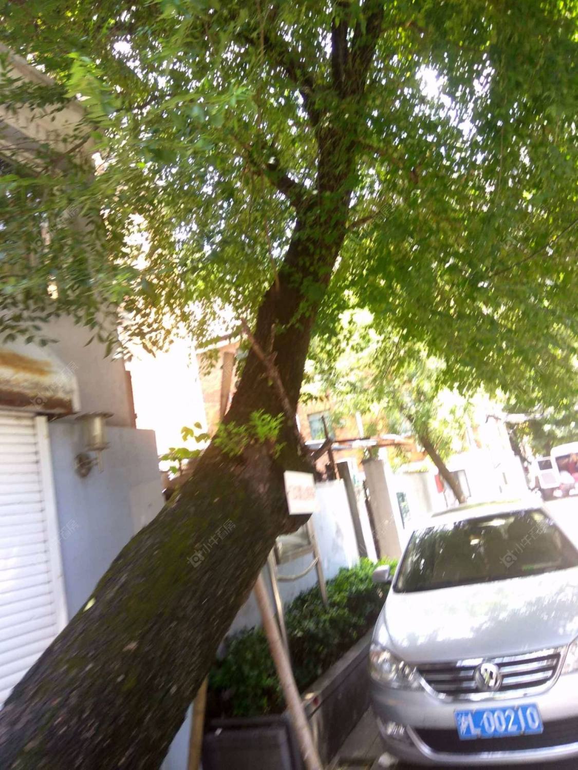 上海永嘉路485弄小区_永嘉路485弄小区null