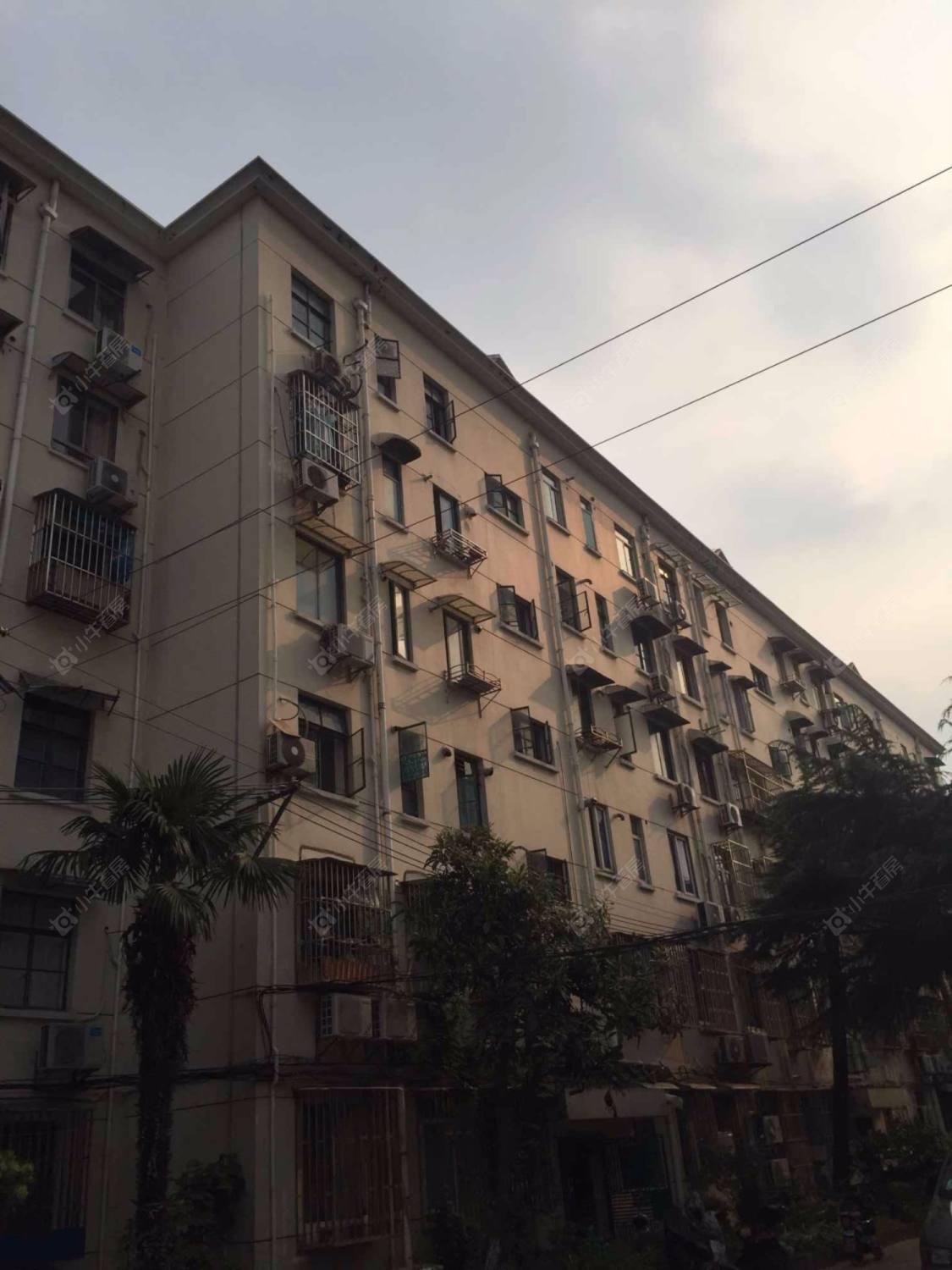 上海真北一街坊小区_真北一街坊小区null