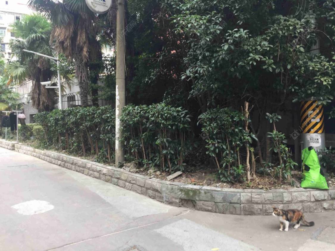 上海东园二村小区_东园二村小区null