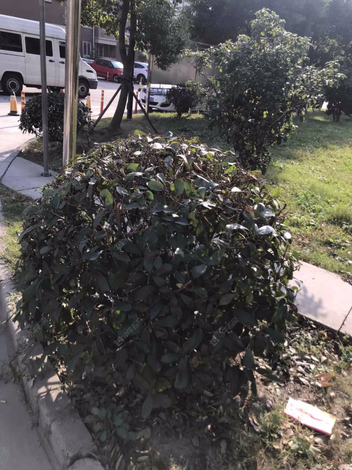 上海鹏裕苑小区_鹏裕苑小区null