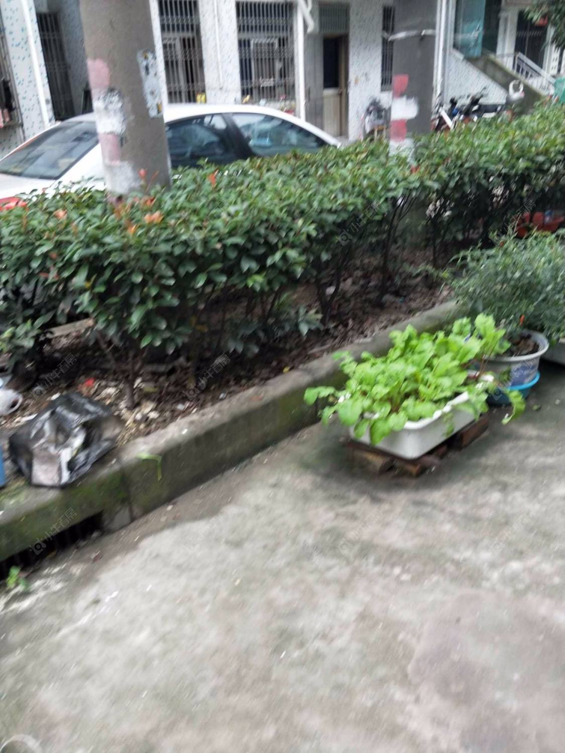 上海华巷小区小区_华巷小区小区null