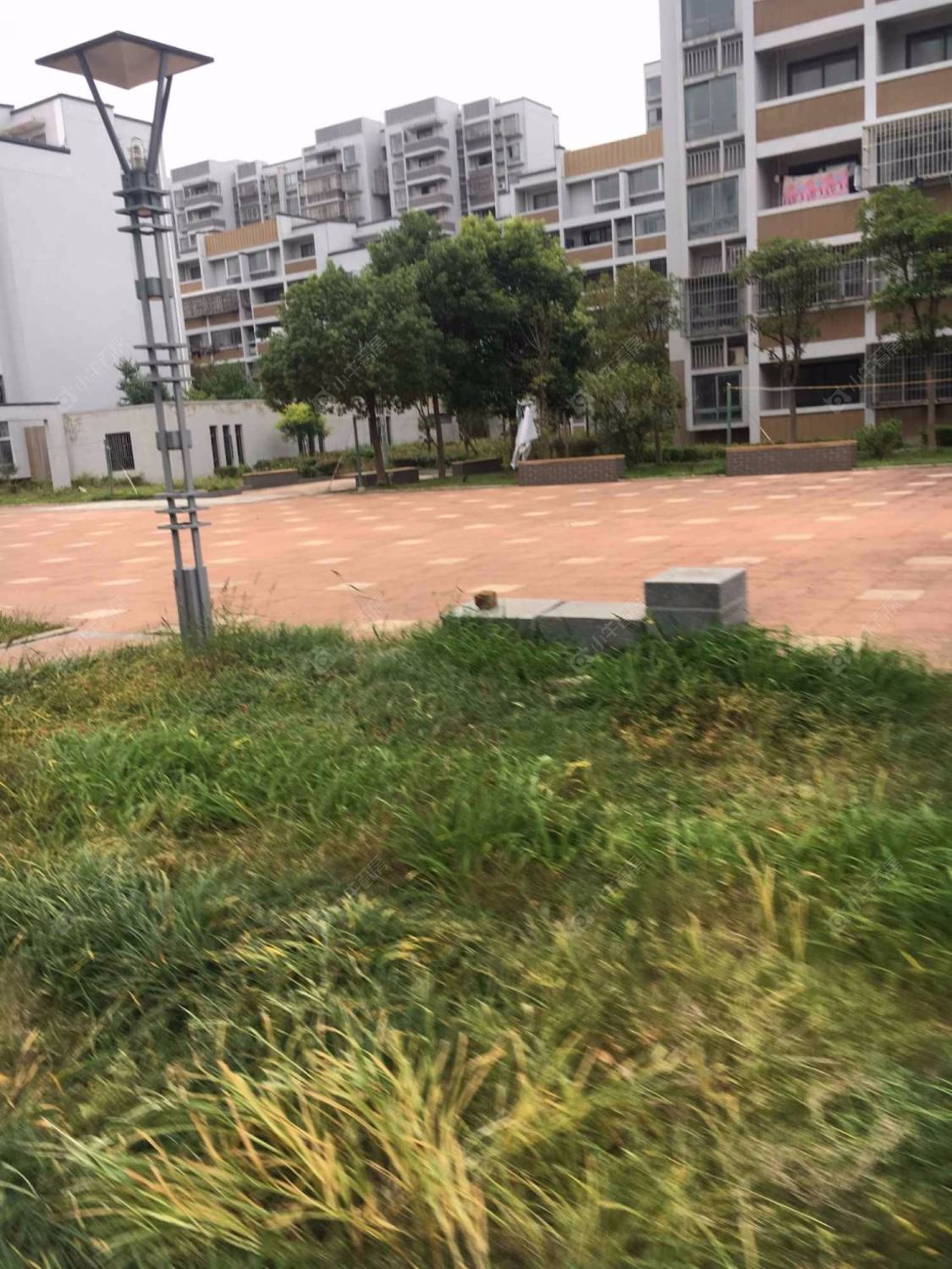 上海丽泽梅傲苑小区_丽泽梅傲苑小区null