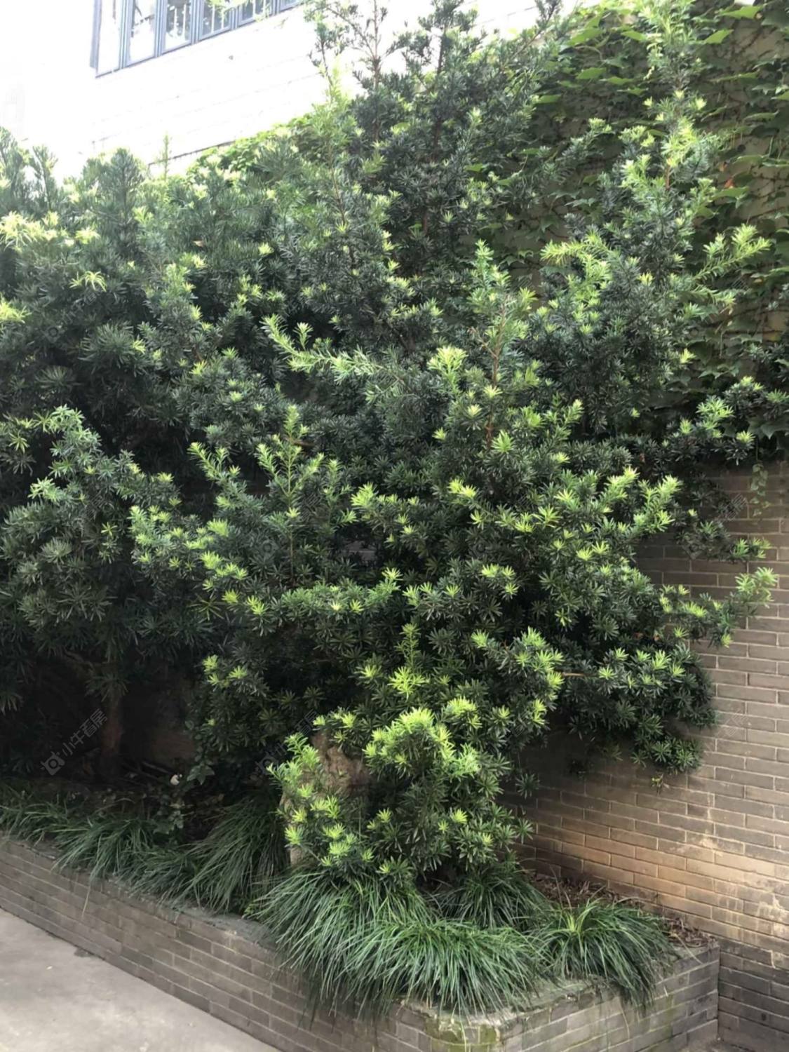 上海静安别墅小区_静安别墅小区null