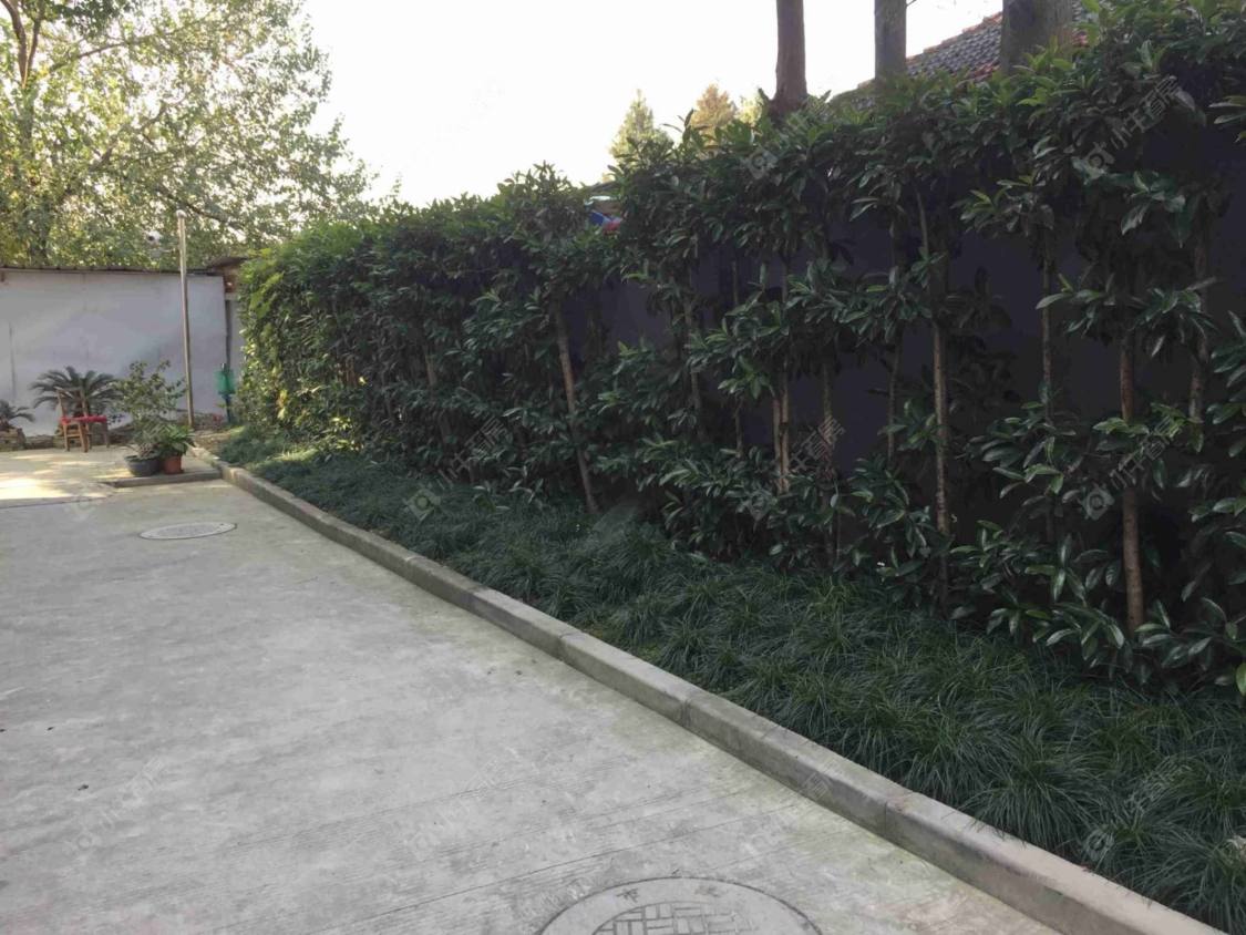 上海王桥街41弄小区_王桥街41弄小区null