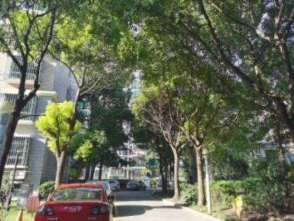 上海水景豪园小区_水景豪园小区null