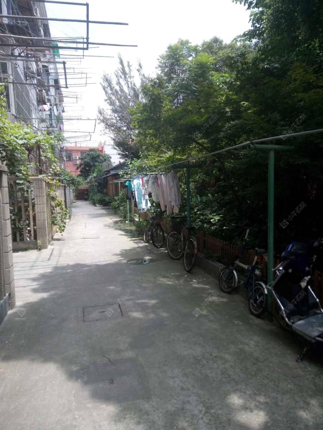 上海中南小区(静安)小区_中南小区(静安)小区null