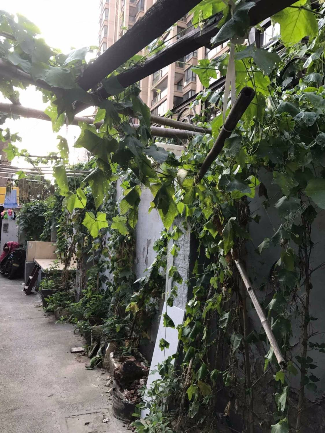 上海西康路567弄小区_西康路567弄小区null