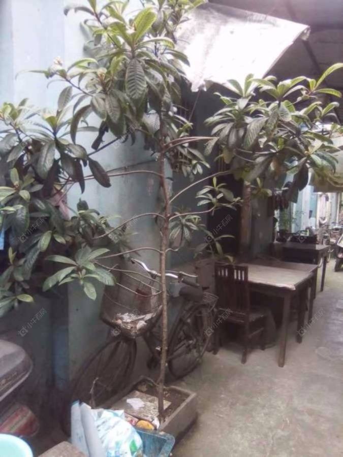 上海同华里小区_同华里小区null