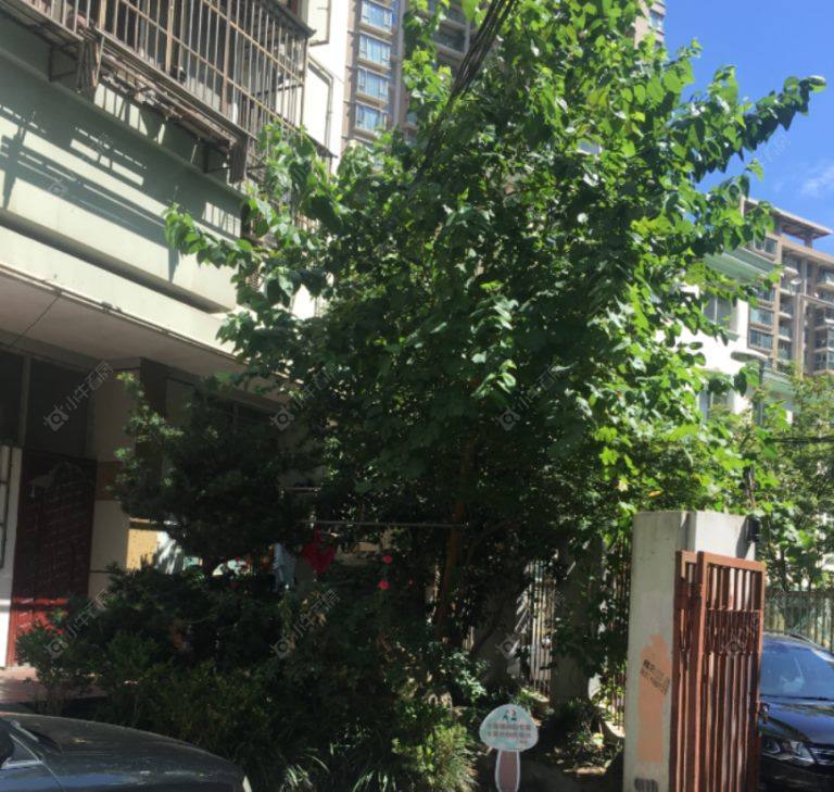 上海南天大楼小区_南天大楼小区null