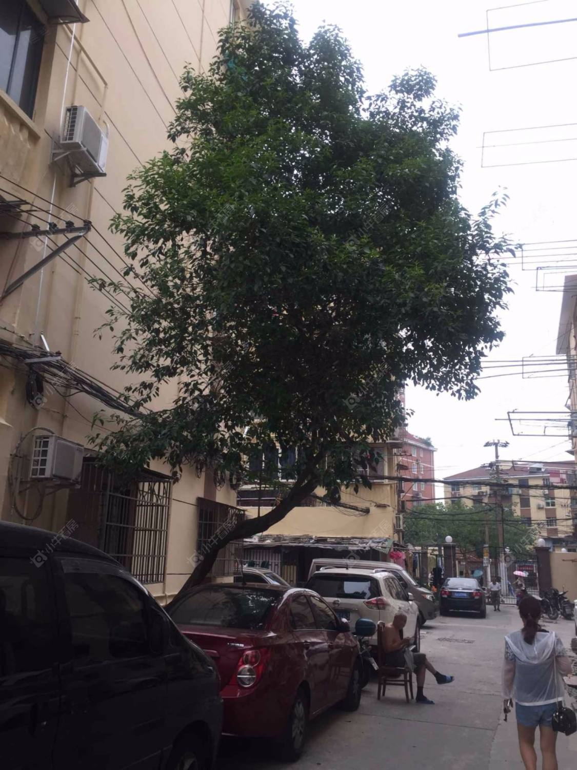 上海西藏北路853弄小区_西藏北路853弄小区null