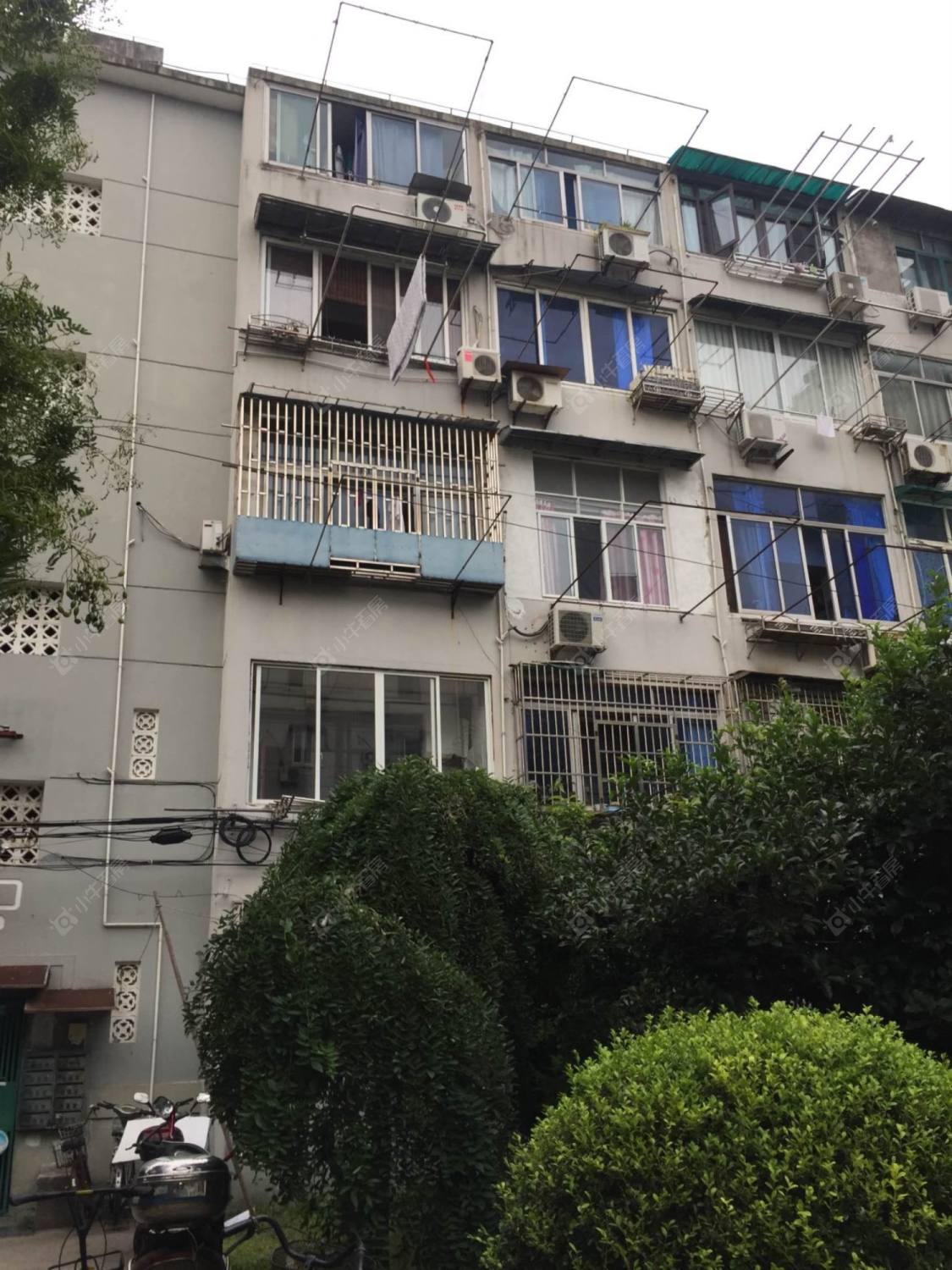 上海延吉东路1弄小区_延吉东路1弄小区null