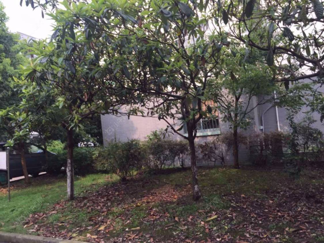 丰舍东苑封面图_小牛看房