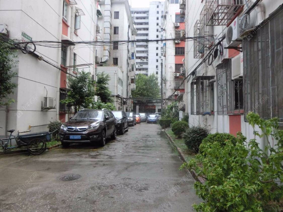 三泾南宅封面图_小牛看房