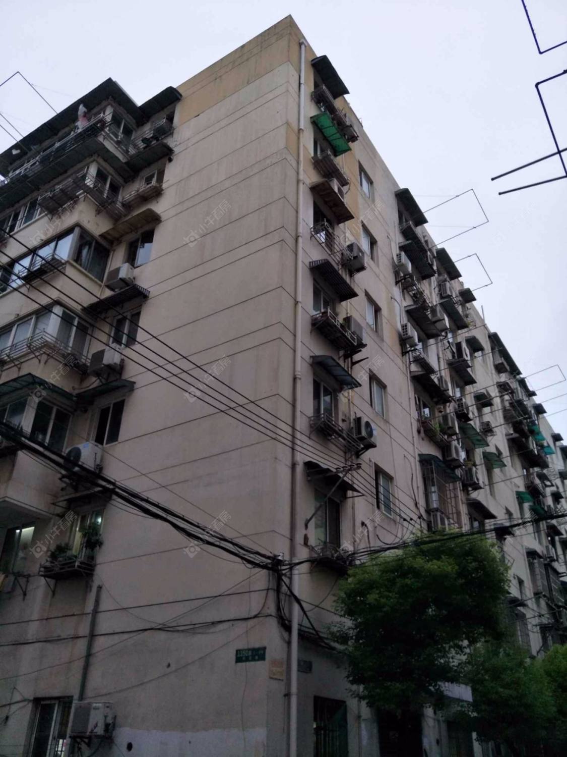 上海张家浜小区小区_张家浜小区小区null