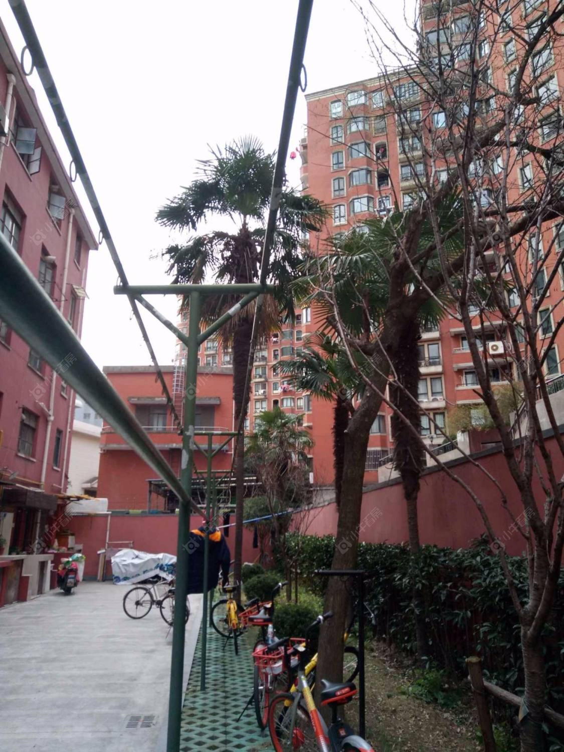 上海建国西路233弄小区_建国西路233弄小区null