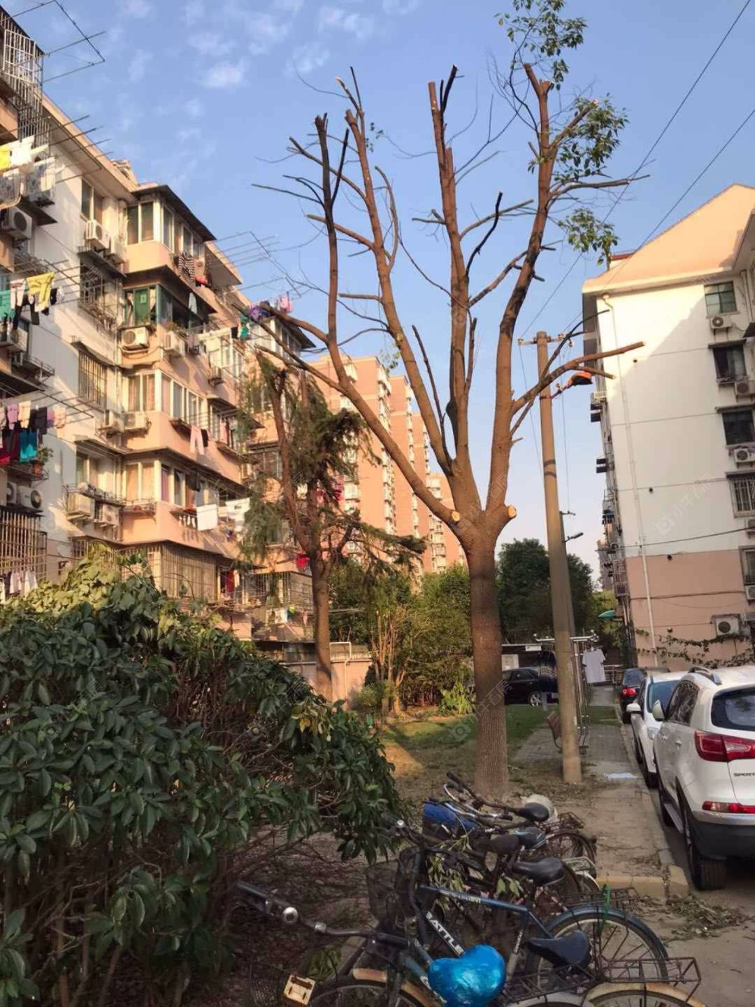 绿川小区东区封面图_小牛看房