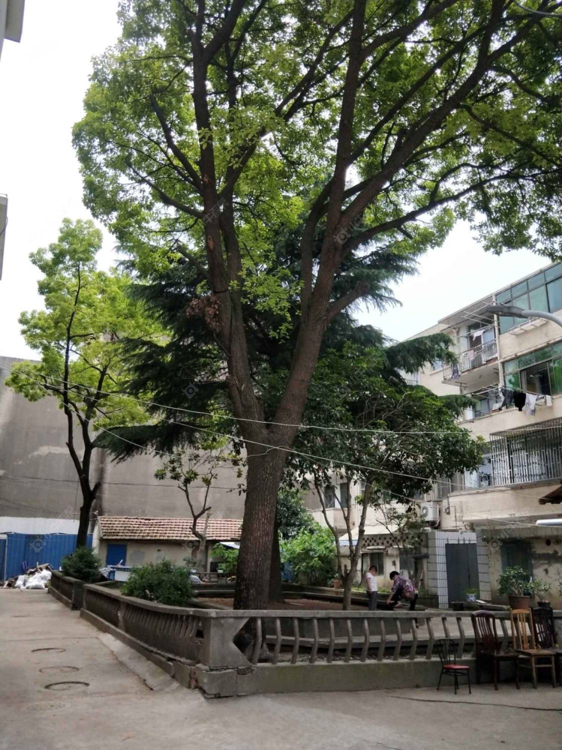 上海浦红东路12弄小区_浦红东路12弄小区null