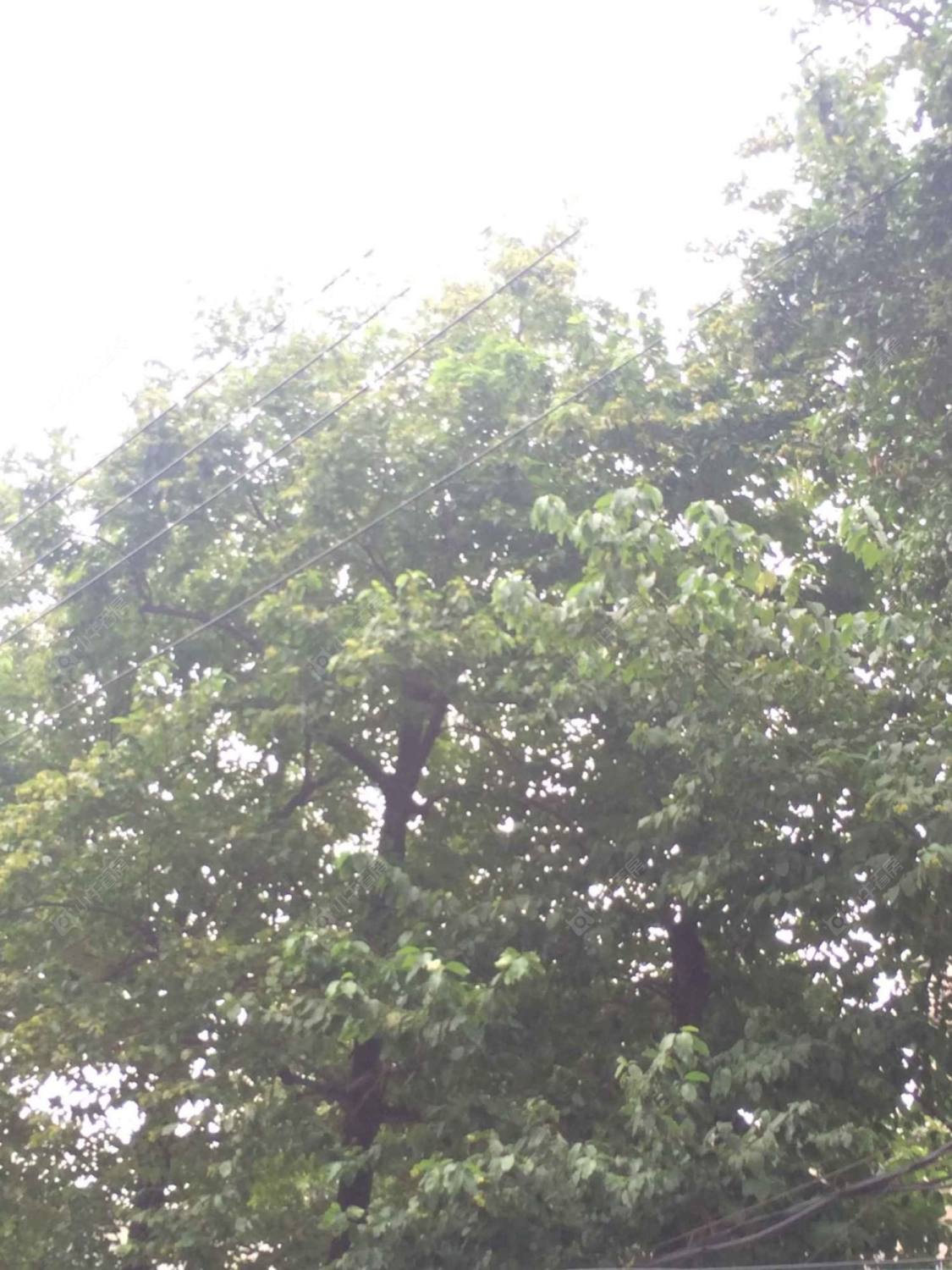 上海华山路1220弄小区_华山路1220弄小区null