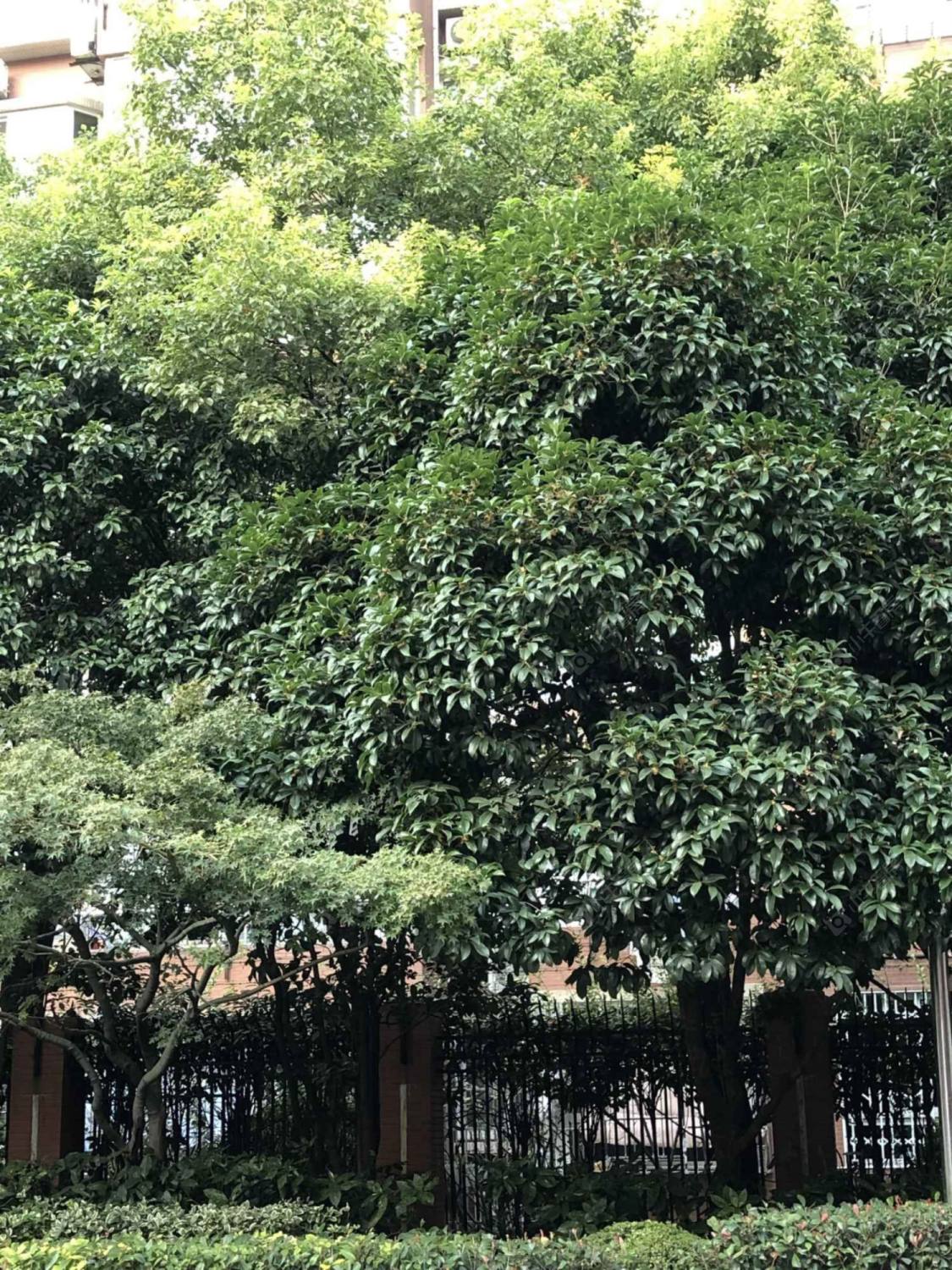 上海牛庄小区小区_小牛看房