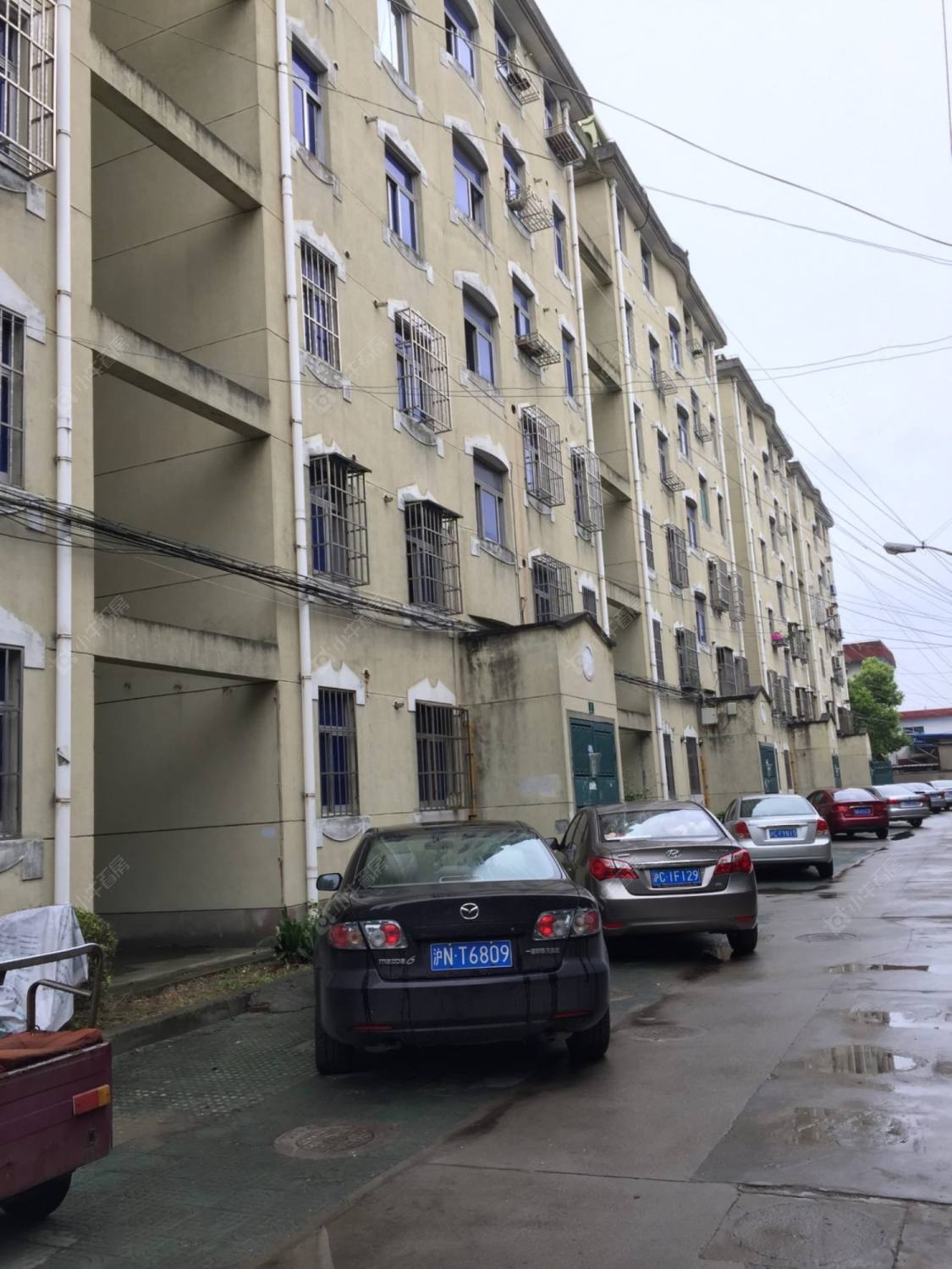 上海三鲁公路319弄小区_小牛看房