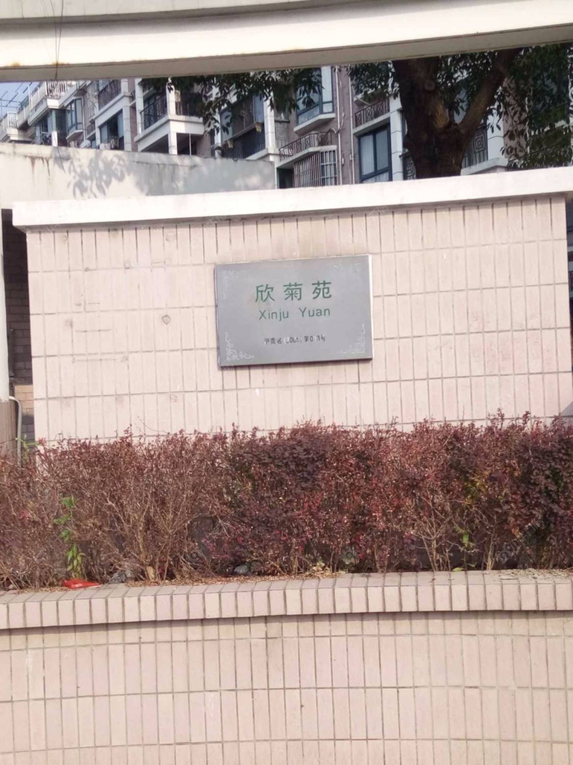 上海欣菊苑小区_欣菊苑小区null