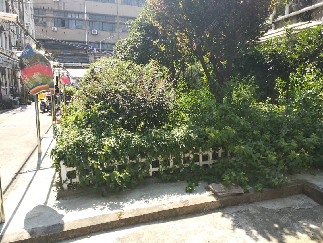 上海杨树浦路2811弄小区_杨树浦路2811弄小区null