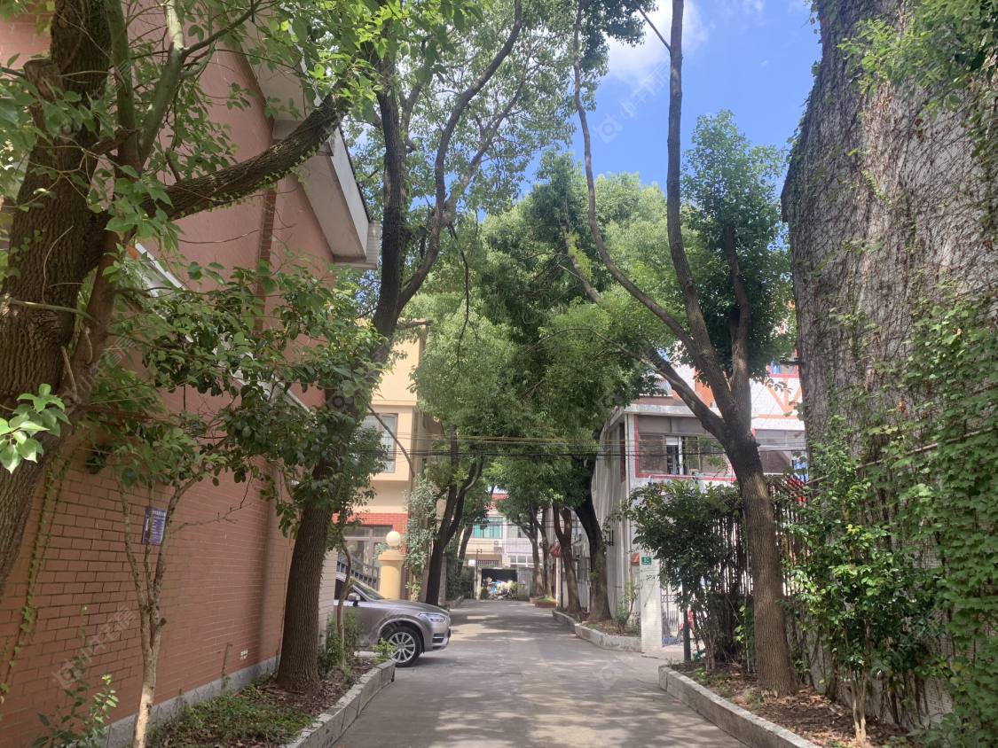 上海明星花苑小区_明星花苑小区null