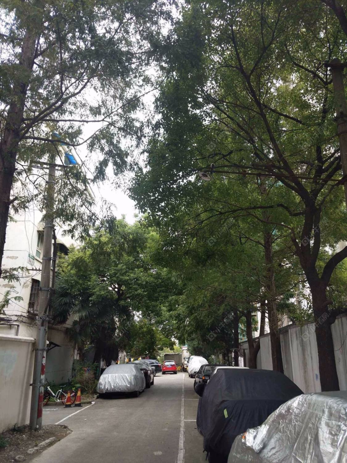 上海东方路3401弄小区_东方路3401弄小区null
