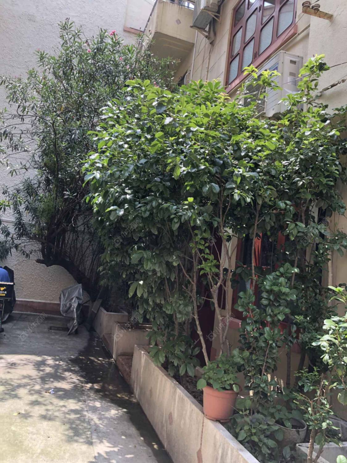 上海绍兴路76弄小区_绍兴路76弄小区null