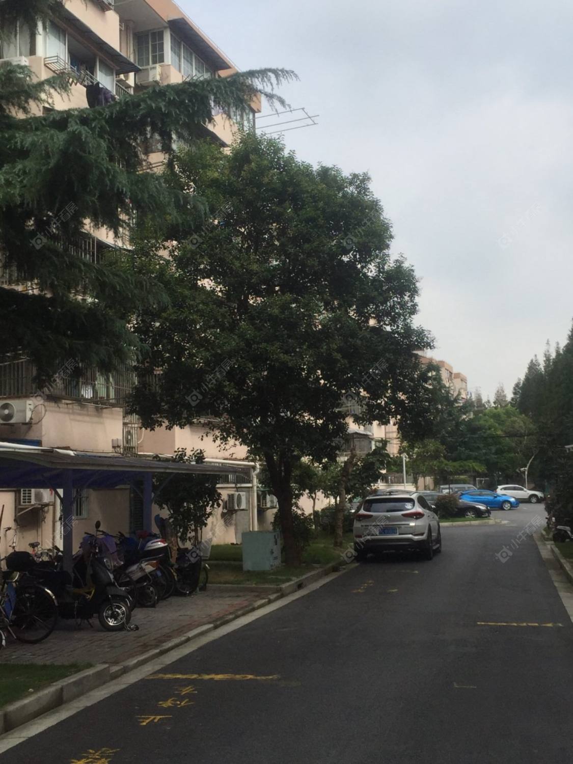 上海莘南新村小区_莘南新村小区null